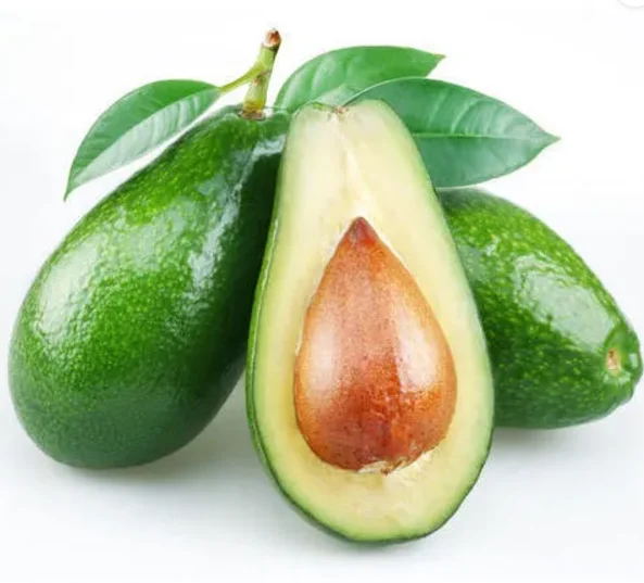 Avocado