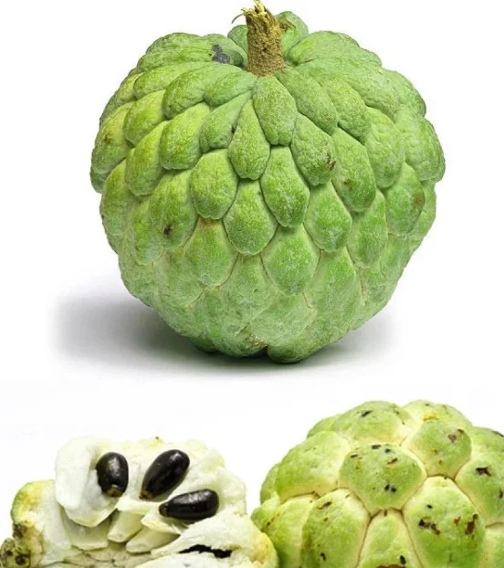 Custurd Apple