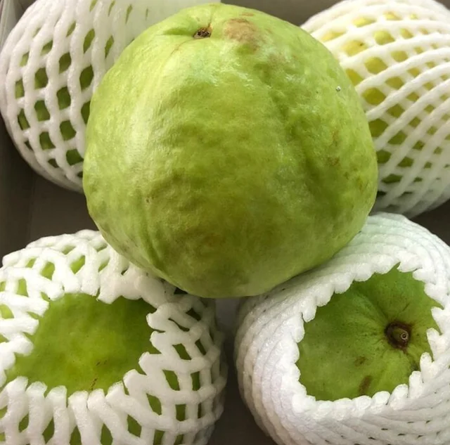 Guava - imported