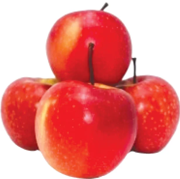 Turkey Gala Apple