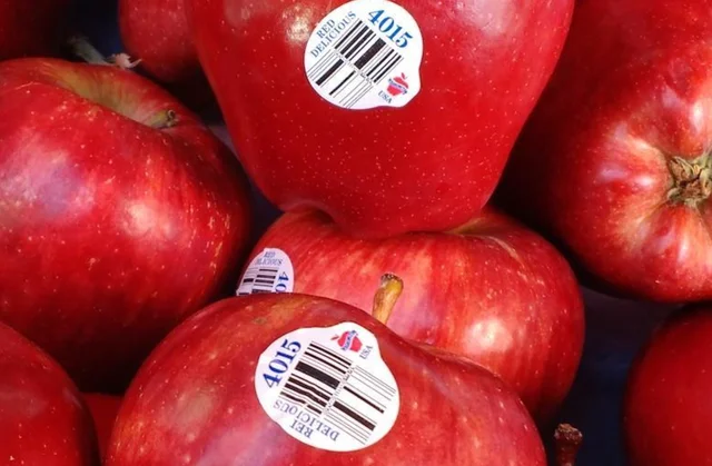 Washington Red apple