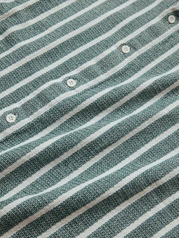 The Souled Store TSS Originals: Stripes Green Printed Men and Boys Collared Long Sleeve Button Down Regular Fit Shirts Shirts Casual Button-Down Half Sleeve Printed Graphic Short Sleeve Casual - XL, Stripes Green
