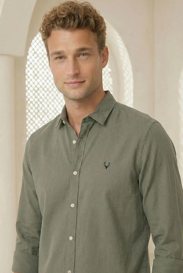 Allen Solly Men’s Casual Shirt | Regular Collar | Soft Breathable Fabric | Everyday Smart Casual Wear - 2XL, Gery