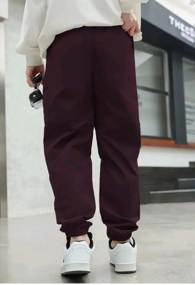 Tagas Boy's Cargo Pant | Regular Slim Cargo for Kids|Relaxed Trouser for Boys|cottoncargo|(K1C-12)
- 15-16 y, Wine