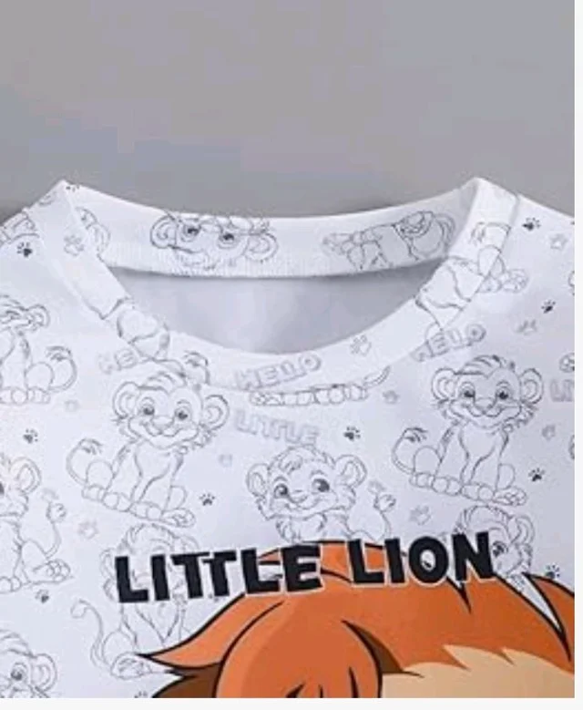Boys Cotton Clothing Set
Full Sleeve Printed T-Shirt & Pant, Soft Cotton Wear Outfit, Comfortable for Wear
- 5-6 y, White-Orange