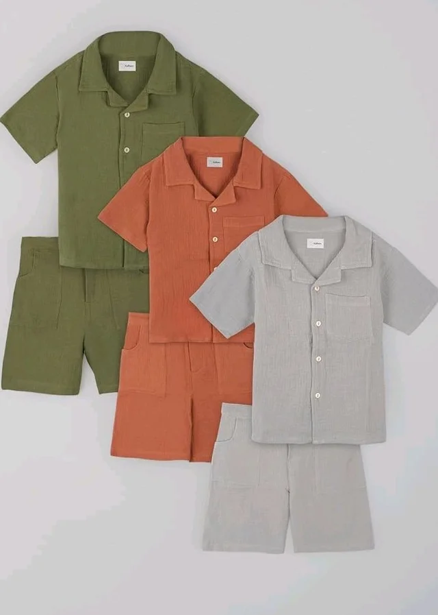 Kidbea Organic Cotton Shirt & Pant Co-ord Set for Kids | Elegant & Comfortable Summer Wear | Stylish Half Sleeve Shirt with Bow & Comfy Shorts
- 3-4 y, Rust, Green & Grey