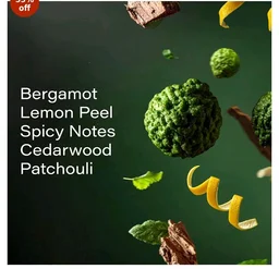 Fraganote Wild Escape for Man | Premium Eau De Parfum 10 ML | Long-Lasting Fresh Citrus, Woody & Musk Fragrance with Bergamot, Patchouli & Cedarwood | Ideal for Office, Gym, Travel & Casual Wear