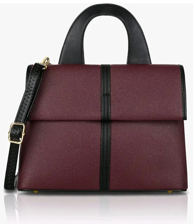 Lavie Signature Women's Nevada Flap Satchel Bag | Satchel Handbag for Work | Ladies Purse | Stylish Shoulder Bag | Gift for Women
