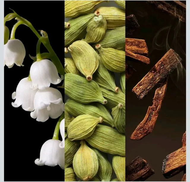 FRENCH CONNECTION | BURNING TOBACCO | FOR MEN | LONG LASTING FRAGRANCE | SMOKY, WOODY & SPICY | EDP 50ML