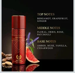 Denver Gentlemen Collection Verve, Elixir & Ascend 200 ml (Pack of 3)