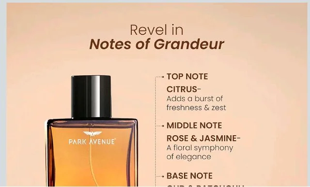 Park Avenue Oud, Liquid Eau De Parfum Men, 100ml | Long Lasting Perfume Spray For Men | Wedding Gift Ideas | Best Wedding Gifts | Premium Luxury Fragrance Scent Aromati