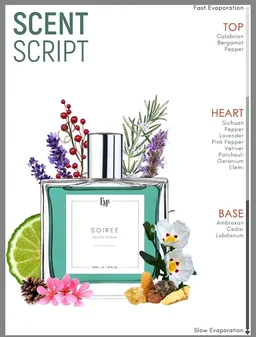 EM5 Soiree Perfume for Men | Spicy Amber Citrus Scent | EDP Strong and Long Lasting Spray | Fragrance Gift for Him