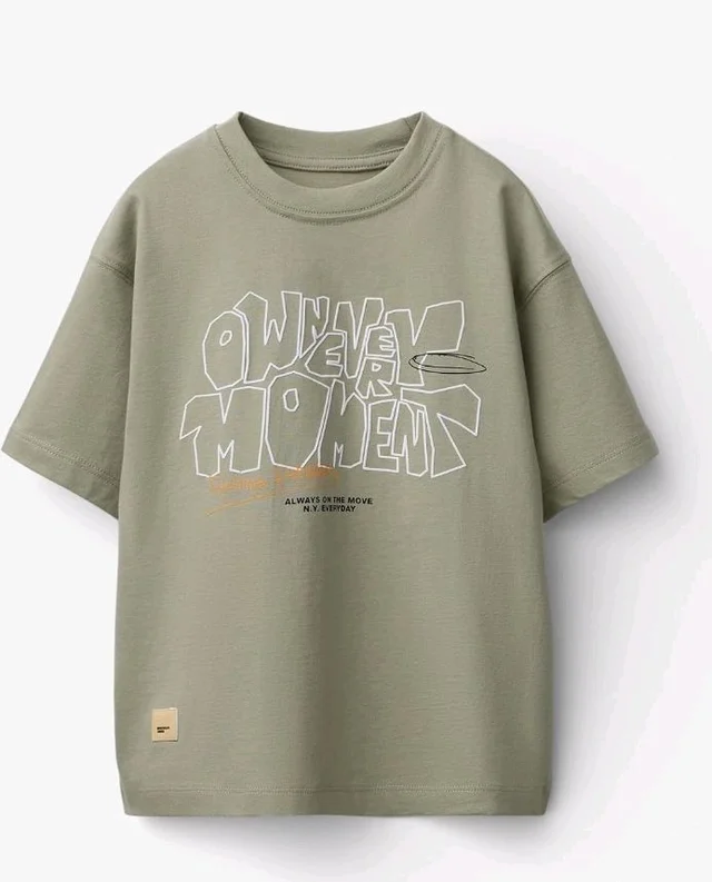 Alan Jones Clothing Boys Oversized Cotton Printed T-Shirt | Round Neck, Short Sleeves, Casual Wear
- 9-10 Y, Light Khaki