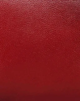 GENWAYNE women's leather handbag