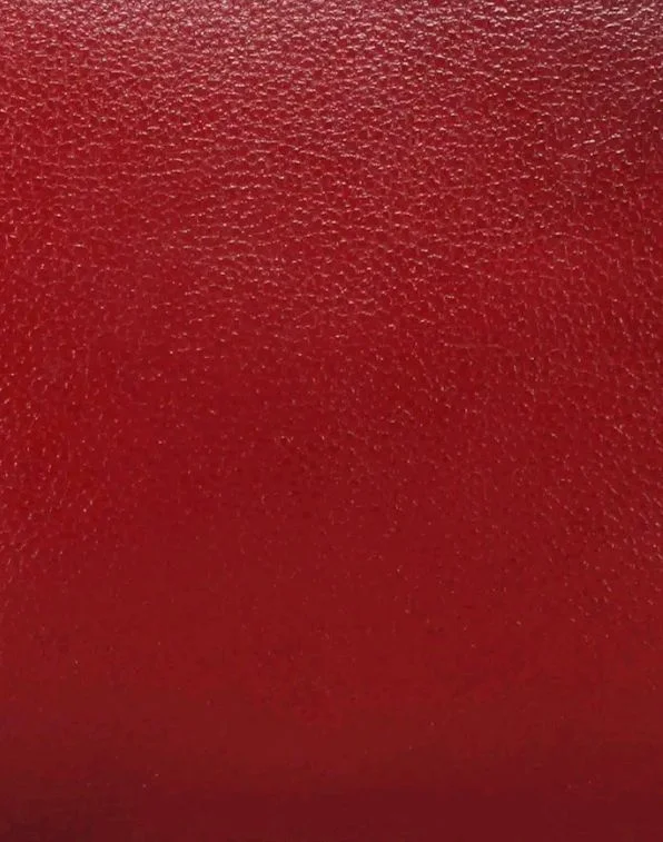 GENWAYNE women's leather handbag
