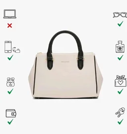 Miraggio Blair Solid Structured Handbag with Adjustable and Detachable Sling Strap for Women | Satchel Bag For Women | Stylish Ladies Purse
100+ bought in past month