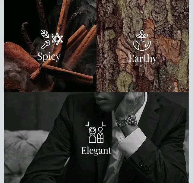 Black Tie | Perfume for Man | Eau de Parfum, Spicy Earthy Elegant Perfume for Men with Violet Leaf, Rose, Ambergris, Patchouli and Bourbon Vanilla, Vegan Organic | 50 mL