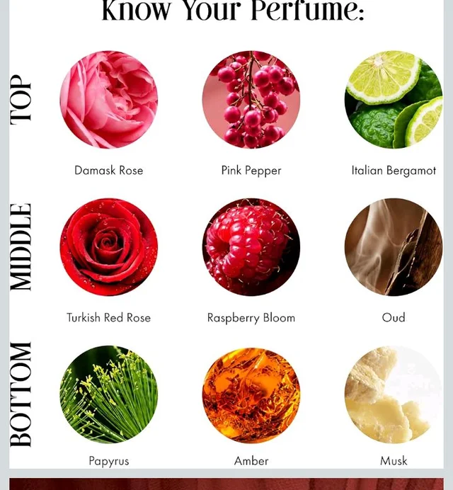 Clean, Long Lasting High Concentration Woody Floral Perfume for Men & Women | Turkish Rose, Oud & Pink Pepper Perfume | Luxury Gift for Women, Day & Night Wear, 800 Spritz