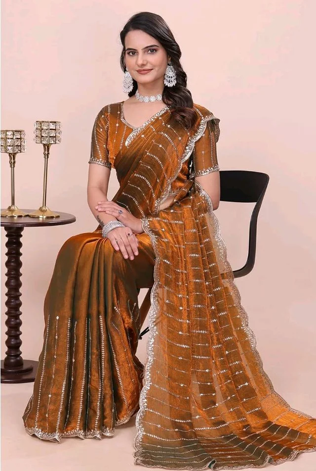 PHEASANT Woman's Jimmy Choo Embroidery Striped Saree