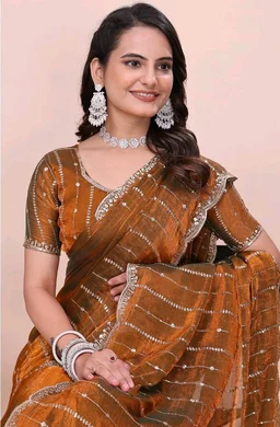 PHEASANT Woman's Jimmy Choo Embroidery Striped Saree