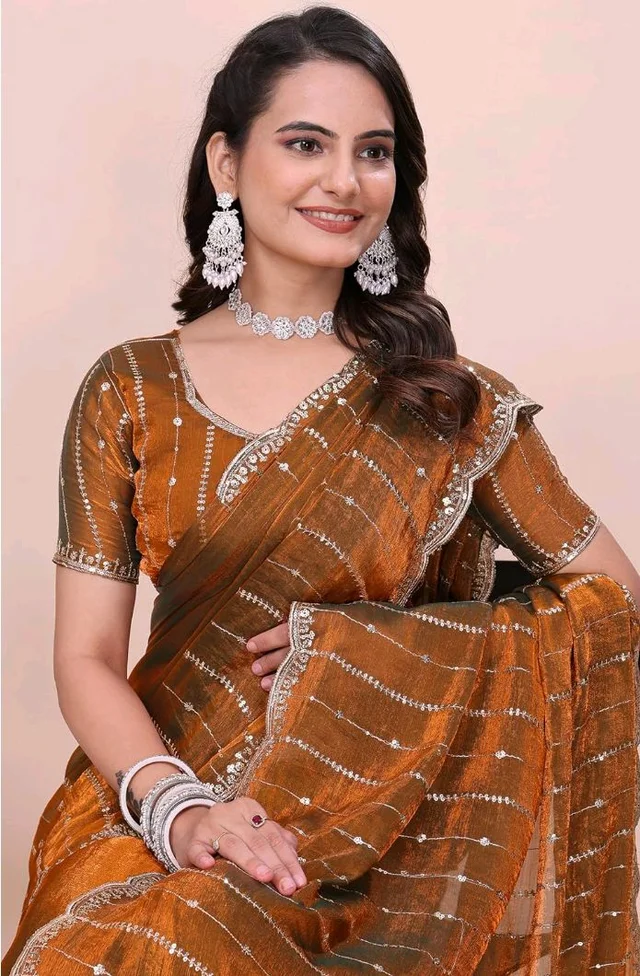 PHEASANT Woman's Jimmy Choo Embroidery Striped Saree