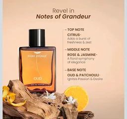 Park Avenue Oud, Liquid Eau De Parfum Men, 100ml | Long Lasting Perfume Spray For Men | Wedding Gift Ideas | Best Wedding Gifts | Premium Luxury Fragrance Scent Aromatic | Suitable For Every Occasion
1K+ bought in past month