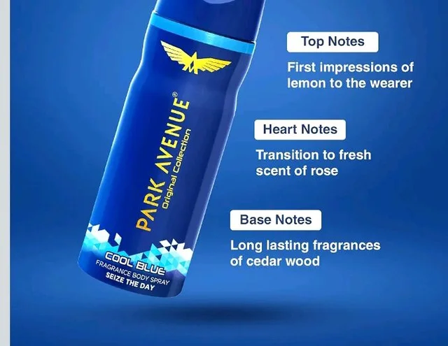 Park Avenue Spray Men's Classic Deo Cool Blue 100Gm*2 (Pack of 2)
200+ bought in past month
