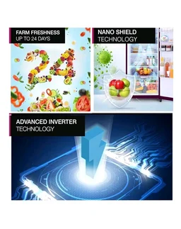 Godrej 233 L 2 Star Inverter, 24 Days farm Freshness Frost Free Double Door Refrigerator(RT EONALPHA 270B RI ST GL, Steel Glow)