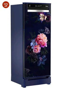 Whirlpool 207 L 4 Star Vitamagic PRO Frost Free Direct-Cool Single Door Refrigerator (230 VMPRO ROY 4S Inv BLUE BELLE EPOQUE-Y, Blue, Auto Defrost Technology, 2026 Model)