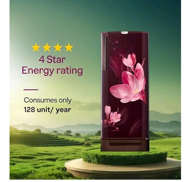 Godrej 185L 4 Star with 5 Years Comprehensive Warranty 24 Days Farm Freshness, Jumbo Vegetable Tray, Dry Storage Drawer, Inverter Technology Single Door Refrigerator (RD 195DN TDI MY WN, Mystic Wine)