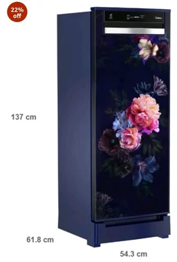 Whirlpool 207 L 4 Star Vitamagic PRO Frost Free Direct-Cool Single Door Refrigerator (230 VMPRO ROY 4S Inv BLUE BELLE EPOQUE-Y, Blue, Auto Defrost Technology, 2026 Model)