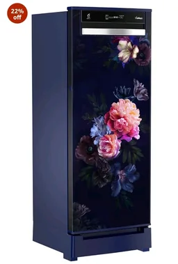 Whirlpool 207 L 4 Star Vitamagic PRO Frost Free Direct-Cool Single Door Refrigerator (230 VMPRO ROY 4S Inv BLUE BELLE EPOQUE-Y, Blue, Auto Defrost Technology, 2026 Model)