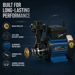 Kirloskar Annika II 0.5 HP Self Priming Water Pump for Home | Up to 21m Head, 2000 LPH, 25x25mm | Single Phase Copper Winding Pump for Overhead Tank | 12 Months Warranty