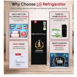 LG 251 L, 2 Star, Smart Inverter, Smart Mode, Frost-Free Double Door Refrigerator (GLT2526WWOB, Onyx Black, Multi Air Flow, Express Freeze, Deodorizer, Bigger Size & Better Cooling, 2026 Model)
