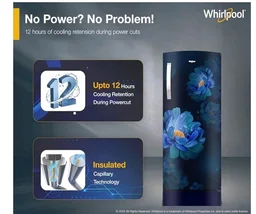 Whirlpool 207 L 5 Star Icemagic Pro Inverter Direct-Cool Single Door Refrigerator (230 IMPRO ROY 5S INV SAPPHIRE PEONY-Y, Blue, 2026 Model)