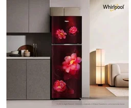 Whirlpool 235 L 2 Star Frost-free inverter Double Door Refrigerator (NEO SP278 PRM WINE ROSE(2S)-Y, 2026 Model)
