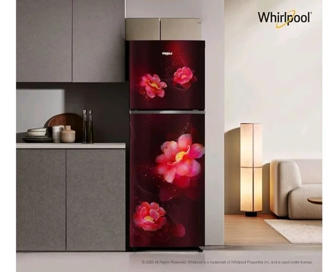 Whirlpool 235 L 2 Star Frost-free inverter Double Door Refrigerator (NEO SP278 PRM WINE ROSE(2S)-Y, 2026 Model)