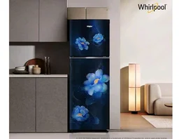 Whirlpool 235 L 2 Star Frost-free inverter Double Door Refrigerator (NEO SP278 PRM SAPPHIRE ROSE(2S)-Y, 2026 Model)