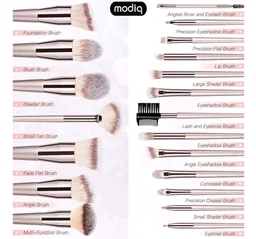 Makeup Brush Set, 20 Pcs, Premium Synthetic Brushes for Foundation, Powder, Concealer, Eye shadows, Blush, with Free Black Case