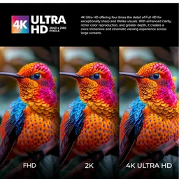 Sponsored
Visit the Visio World Store
4.1
4.1 out of 5 stars
(2,649)
VW Visio World 127 cm (50 inches) Pro Series 4K Ultra HD Smart QLED Google TV VW50GQ2
Amazon's Choice
