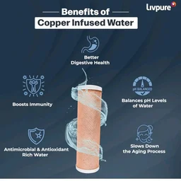 Livpure Stealth Under The Counter Water Purifier, RO+UV 6 Stage Purification Technology, 7L Storage Tank, Sleek And Compact Design
