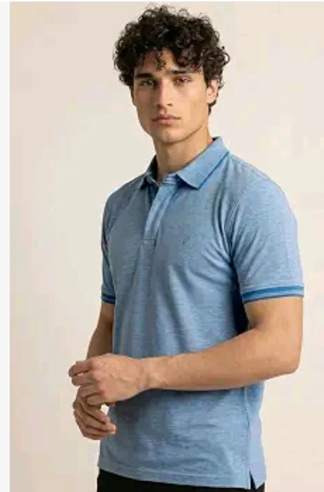 Allen Solly Men’s Pastel Shade Polo T‑Shirt | Bird’s Eye Knit Texture | Soft Cotton‑Blend | Regular Fit | Half Sleeves | Casual Everyday Wear