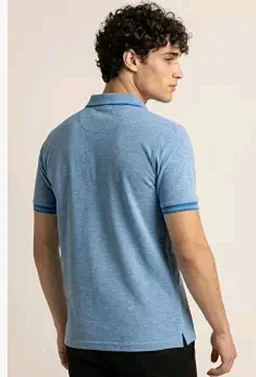 Allen Solly Men’s Pastel Shade Polo T‑Shirt | Bird’s Eye Knit Texture | Soft Cotton‑Blend | Regular Fit | Half Sleeves | Casual Everyday Wear