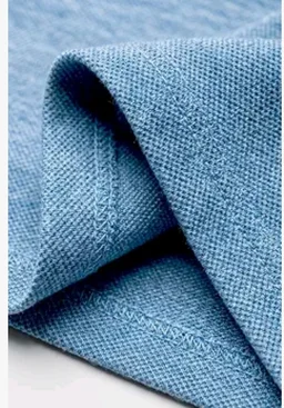 Allen Solly Men’s Pastel Shade Polo T‑Shirt | Bird’s Eye Knit Texture | Soft Cotton‑Blend | Regular Fit | Half Sleeves | Casual Everyday Wear