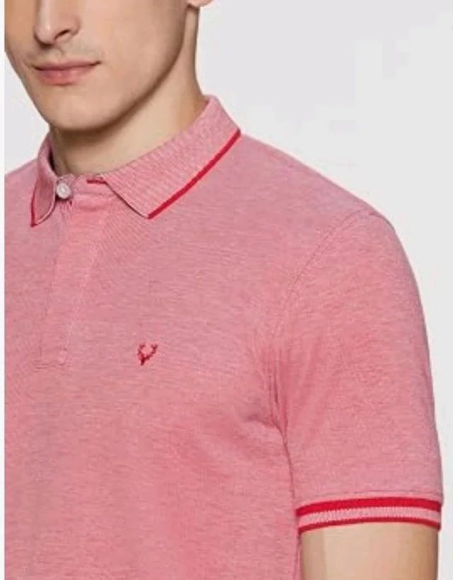 Allen Solly Men’s Pastel Shade Polo T‑Shirt | Bird’s Eye Knit Texture | Soft Cotton‑Blend | Regular Fit | Half Sleeves | Casual Everyday Wear