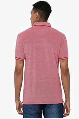 Allen Solly Men’s Pastel Shade Polo T‑Shirt | Bird’s Eye Knit Texture | Soft Cotton‑Blend | Regular Fit | Half Sleeves | Casual Everyday Wear