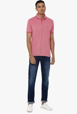 Allen Solly Men’s Pastel Shade Polo T‑Shirt | Bird’s Eye Knit Texture | Soft Cotton‑Blend | Regular Fit | Half Sleeves | Casual Everyday Wear