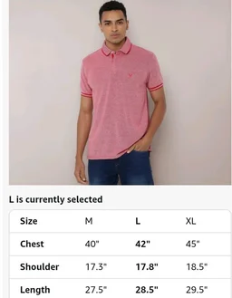 Allen Solly Men’s Pastel Shade Polo T‑Shirt | Bird’s Eye Knit Texture | Soft Cotton‑Blend | Regular Fit | Half Sleeves | Casual Everyday Wear