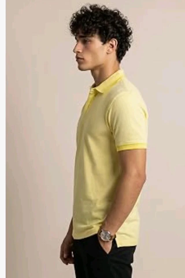 Allen Solly Men’s Pastel Shade Polo T‑Shirt | Bird’s Eye Knit Texture | Soft Cotton‑Blend | Regular Fit | Half Sleeves | Casual Everyday Wear
