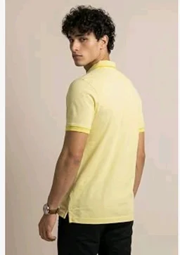 Allen Solly Men’s Pastel Shade Polo T‑Shirt | Bird’s Eye Knit Texture | Soft Cotton‑Blend | Regular Fit | Half Sleeves | Casual Everyday Wear